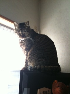 IMG_1287.jpgのサムネール画像